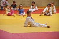 Yssingeaux : les jeunes judokas deviennent fidèles