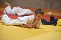 Yssingeaux : les jeunes judokas deviennent fidèles