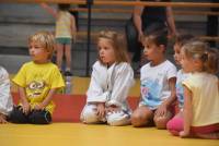 Yssingeaux : les jeunes judokas deviennent fidèles