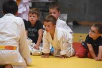 Yssingeaux : les jeunes judokas deviennent fidèles