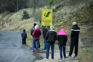 Cyclisme : la montée de Chaspinhac 2020 en photos