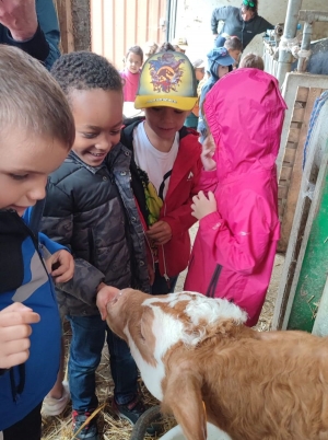 Bas-en-Basset : une journée à la ferme pour des maternelles de l&#039;école Louise-Michel