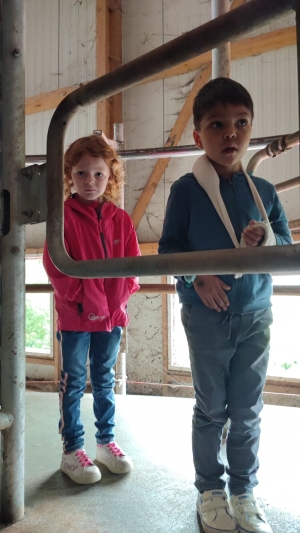 Bas-en-Basset : une journée à la ferme pour des maternelles de l&#039;école Louise-Michel