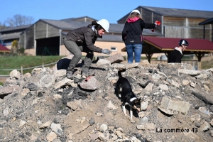 Un concours canin atypique et impressionnant ce week-end à Yssingeaux