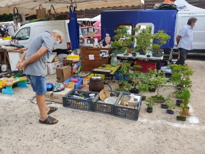 Bas-en-Basset : on trouve de tout à la Foire aux trouvailles