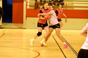 Hand, N3 : Sucs et Velay finit par s&#039;imposer contre Loudes