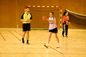 Hand, N3 : Sucs et Velay finit par s&#039;imposer contre Loudes