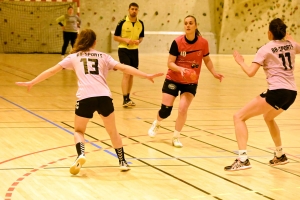 Hand, N3 : Sucs et Velay finit par s&#039;imposer contre Loudes