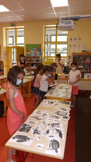 Yssingeaux : des « illustrateurs » en herbe à l&#039;école Jean-de-la-Fontaine