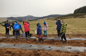 Plantation de haies à Saint-Front avec les écoliers