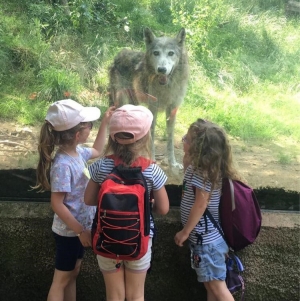 Dunières : une fin d’année riche en activités à l’école privée Saint-Joseph