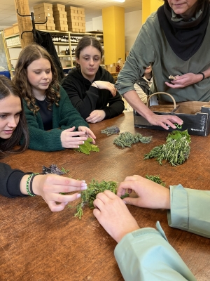 Yssingeaux : les huiles essentielles pratiquées par les élèves du lycée Eugénie-Joubert