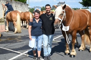 Yssingeaux : 60 juments comtoises jugées au concours de chevaux lourds