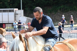 Yssingeaux : 60 juments comtoises jugées au concours de chevaux lourds