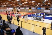 Yssingeaux : le judo, le tennis de table et la boxe se partagent les tatamis