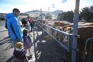 Le Fin Gras du Mézenc lance sa saison 2024 ce dimanche aux Estables