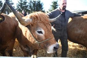 Le Fin Gras du Mézenc lance sa saison 2024 ce dimanche aux Estables