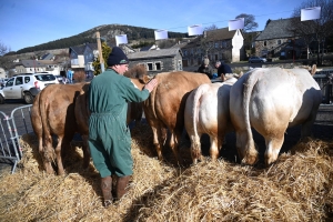 Le Fin Gras du Mézenc lance sa saison 2024 ce dimanche aux Estables