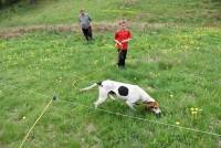 Dunières : des chiens à suivre à la trace jusqu&#039;à dimanche