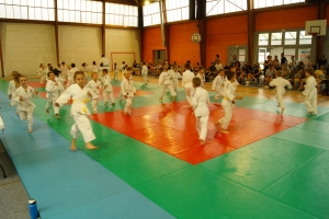 Judo : les Médailles de Brives attirent 188 combattants