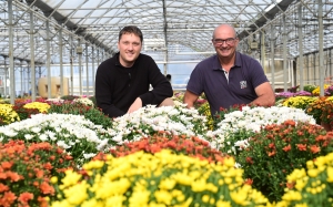 Chrysanthèmes, coupe garnie, pomponette : l’embarras du choix chez Chevalier Frères à Yssingeaux