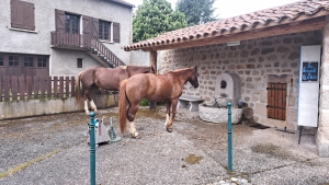 Valprivas : de Paris aux Saintes-Maries-de-la-Mer en cheval, ils reçoivent le renfort d&#039;un maréchal ferrant