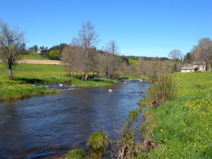 Le Lignon au Pont de Mars