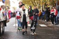 Bas-en-Basset : ambiance champêtre et colorée pour le défilé des chars