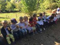 Saint-Pal-de-Mons : les écoliers ont nettoyé la nature