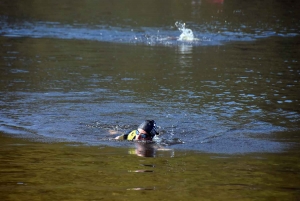 Swimrun des Gorges de la Loire : retrouvez les classements et les photos de la 2e édition