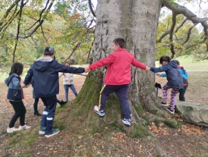 Yssingeaux : les écoliers de Jean-de-la-Fontaine étudient les arbres au château de Lavée