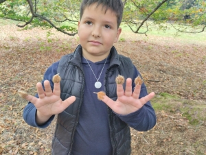 Yssingeaux : les écoliers de Jean-de-la-Fontaine étudient les arbres au château de Lavée