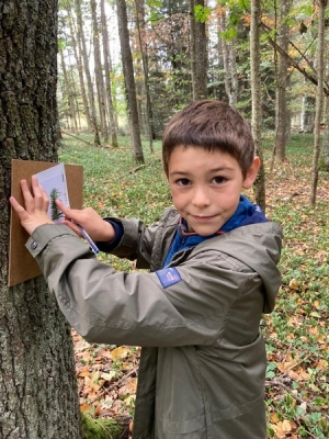 Yssingeaux : les écoliers de Jean-de-la-Fontaine étudient les arbres au château de Lavée