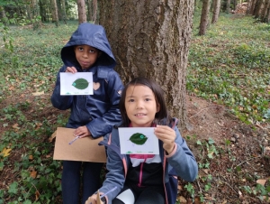 Yssingeaux : les écoliers de Jean-de-la-Fontaine étudient les arbres au château de Lavée