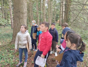 Yssingeaux : les écoliers de Jean-de-la-Fontaine étudient les arbres au château de Lavée