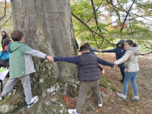 Yssingeaux : les écoliers de Jean-de-la-Fontaine étudient les arbres au château de Lavée