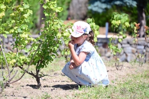 La Chapelle-d&#039;Aurec : un jardin et un poulailler tenus par les enfants