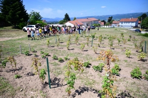 La Chapelle-d&#039;Aurec : un jardin et un poulailler tenus par les enfants