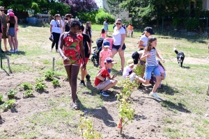 La Chapelle-d&#039;Aurec : un jardin et un poulailler tenus par les enfants