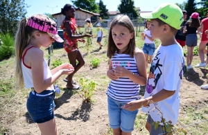 La Chapelle-d&#039;Aurec : un jardin et un poulailler tenus par les enfants