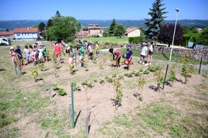 La Chapelle-d&#039;Aurec : un jardin et un poulailler tenus par les enfants