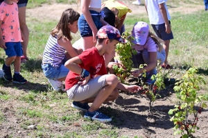 La Chapelle-d&#039;Aurec : un jardin et un poulailler tenus par les enfants