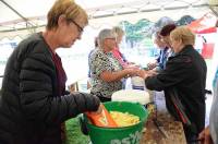 150 kg de pommes de terre ont été coupés.