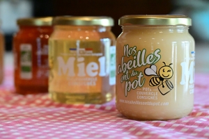 A Bessamorel, 6 apiculteurs mettent leur miel en pot et commercialisent sous une marque