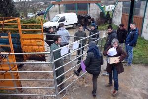 Les sept meilleurs jeunes pointeurs de Haute-Loire qualifiés pour le Salon de l&#039;agriculture 2020