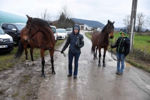 Les sept meilleurs jeunes pointeurs de Haute-Loire qualifiés pour le Salon de l&#039;agriculture 2020