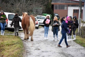 Les sept meilleurs jeunes pointeurs de Haute-Loire qualifiés pour le Salon de l&#039;agriculture 2020