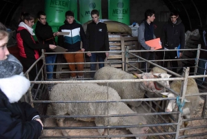 Les sept meilleurs jeunes pointeurs de Haute-Loire qualifiés pour le Salon de l&#039;agriculture 2020