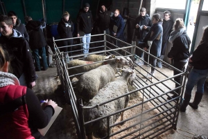 Les sept meilleurs jeunes pointeurs de Haute-Loire qualifiés pour le Salon de l&#039;agriculture 2020