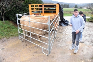 Les sept meilleurs jeunes pointeurs de Haute-Loire qualifiés pour le Salon de l&#039;agriculture 2020